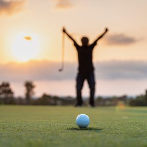 Golf is not a game of perfect