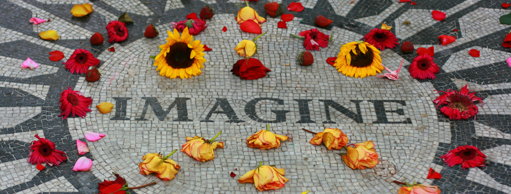 Imagine